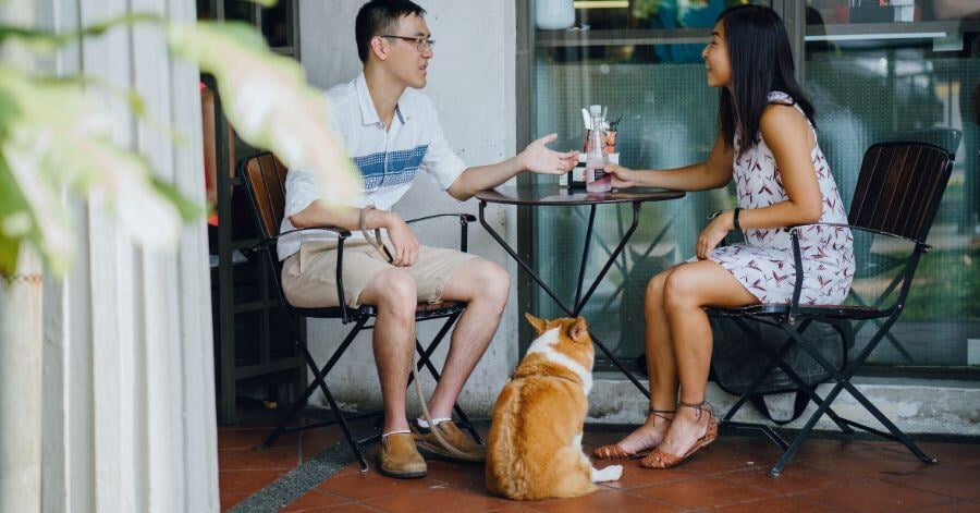 How to Make Your Bar or Restaurant Pet Friendly